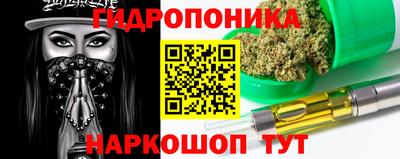 гидра Беслан