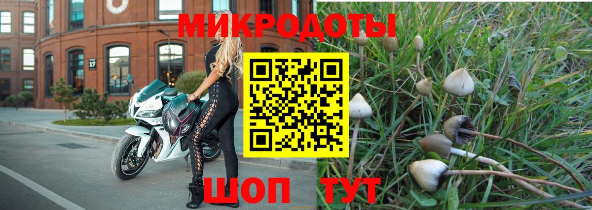 Галлюциногенные грибы Cubensis Звенигород