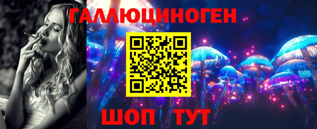 продажа наркотиков  Вход с VPN  Звенигород  Псилоцибиновые грибы GOLDEN TEACHER 
